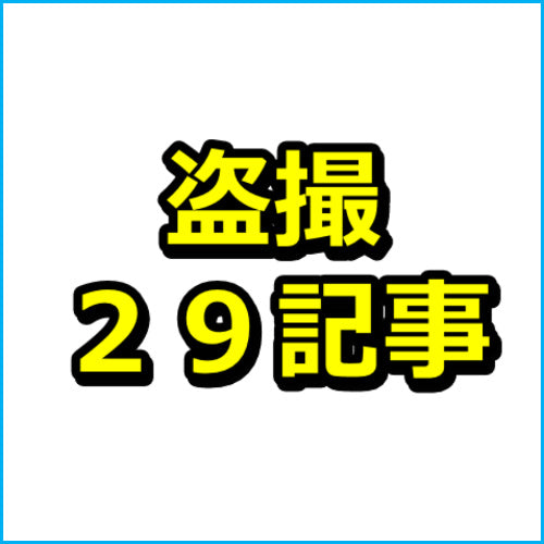 【盗撮・のぞき】AVアフィリエイト29記事セット!