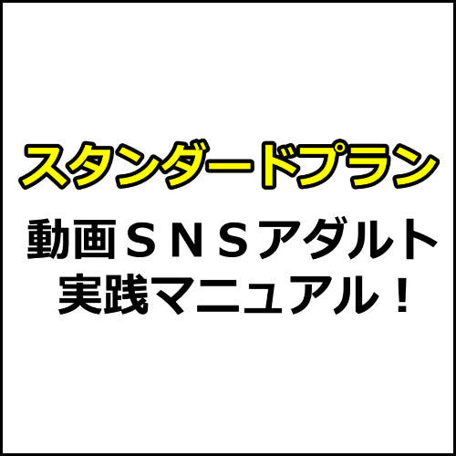 【スタンダード版】Youtube、TikTok、Instagramアダルト実践マニュアル！