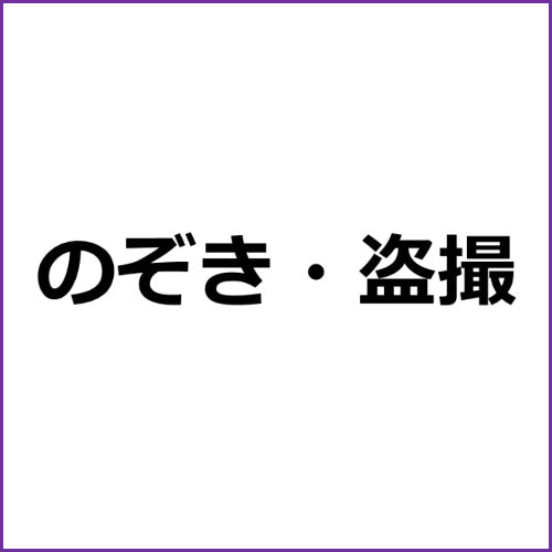 アダルト動画アフィリエイト記事#869【盗撮、家宅侵入、眠っている少女に覆いかぶさって】