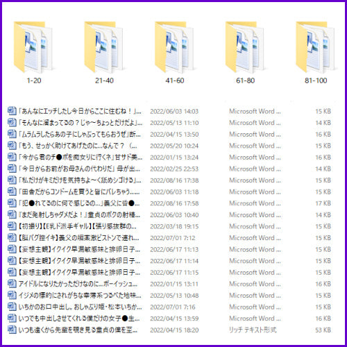 【美女・美少女版】ＳＥＯアダルトブログの作り方マニュアルと１００記事テンプレのセット！